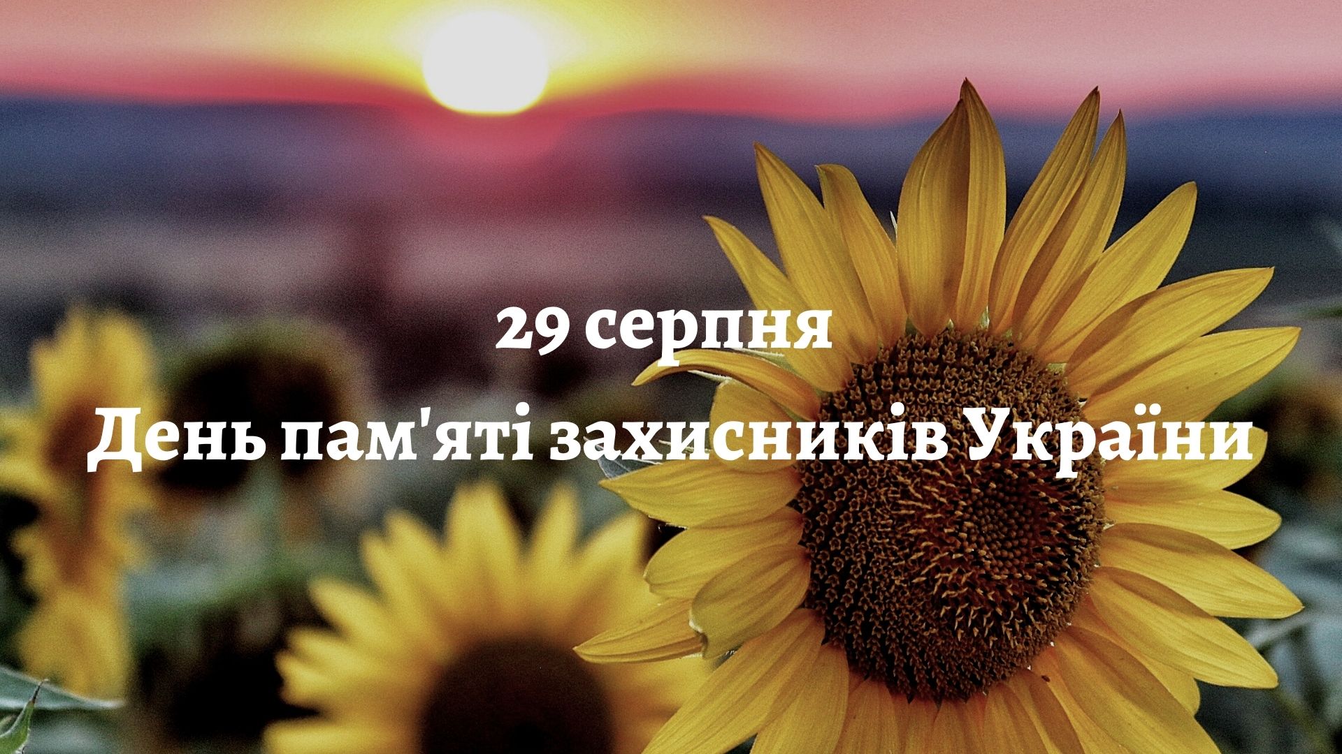 29 серпня – День пам’яті захисників України